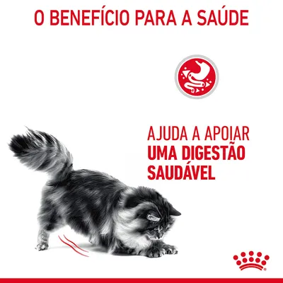 Texto: O benefício para a saúde. Ajuda a apoiar uma digestão saudável. Imagem de um gato e símbolo vermelho com estômago estilizado.