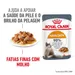 Royal Canin Hair & Skin Care em molho