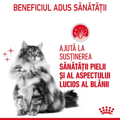 Beneficiul adus sănătății: ajută la susținerea sănătății pielii și al aspectului lucios al blănii. Imagine cu o pisică și simboluri grafice pentru blană strălucitoare.