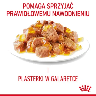 Pomaga sprzyjać prawidłowemu nawodnieniu. Plasterki w galaretce. Royal Canin – widoczne kawałki karmy na talerzu.
