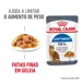 Royal Canin Light Weight Care em gelatina