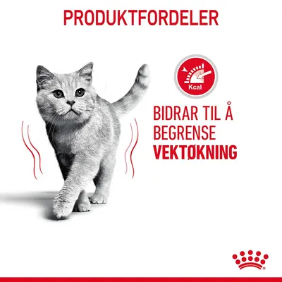 Royal Canin Light Weight Care i gelè