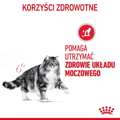 Korzyści zdrowotne. Pomaga utrzymać zdrowie układu moczowego – tekst i grafika kota z ikoną układu moczowego. Royal Canin.
