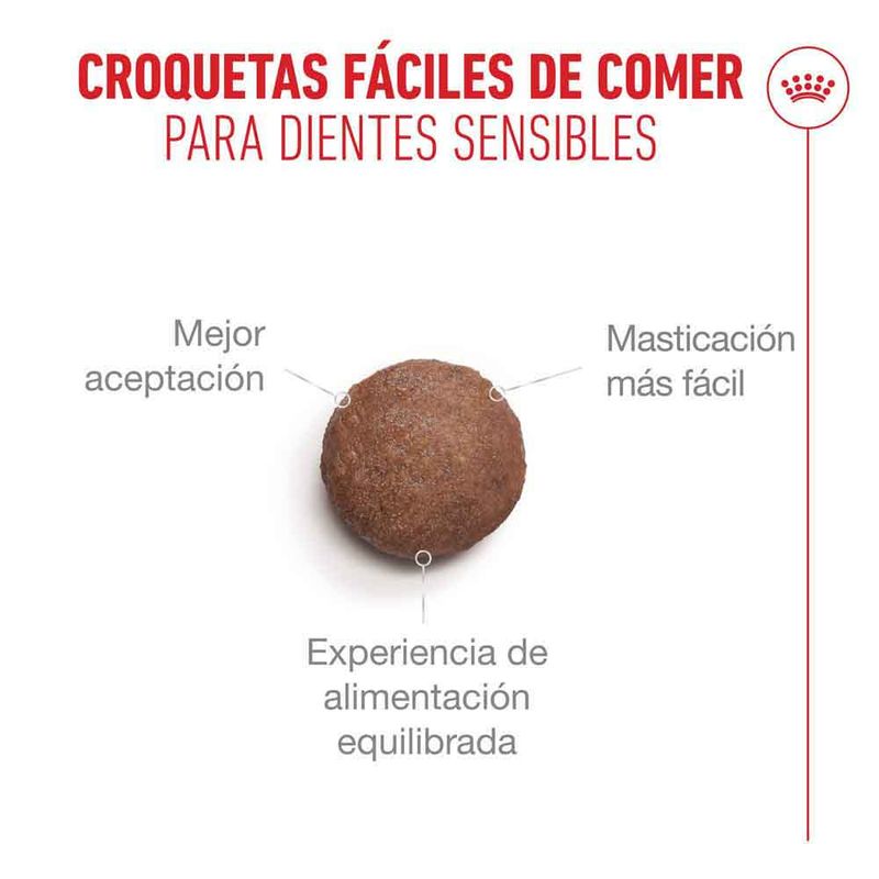 Royal Canin Ageing 11+
