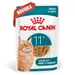 Royal Canin Ageing 11+ v omáčke