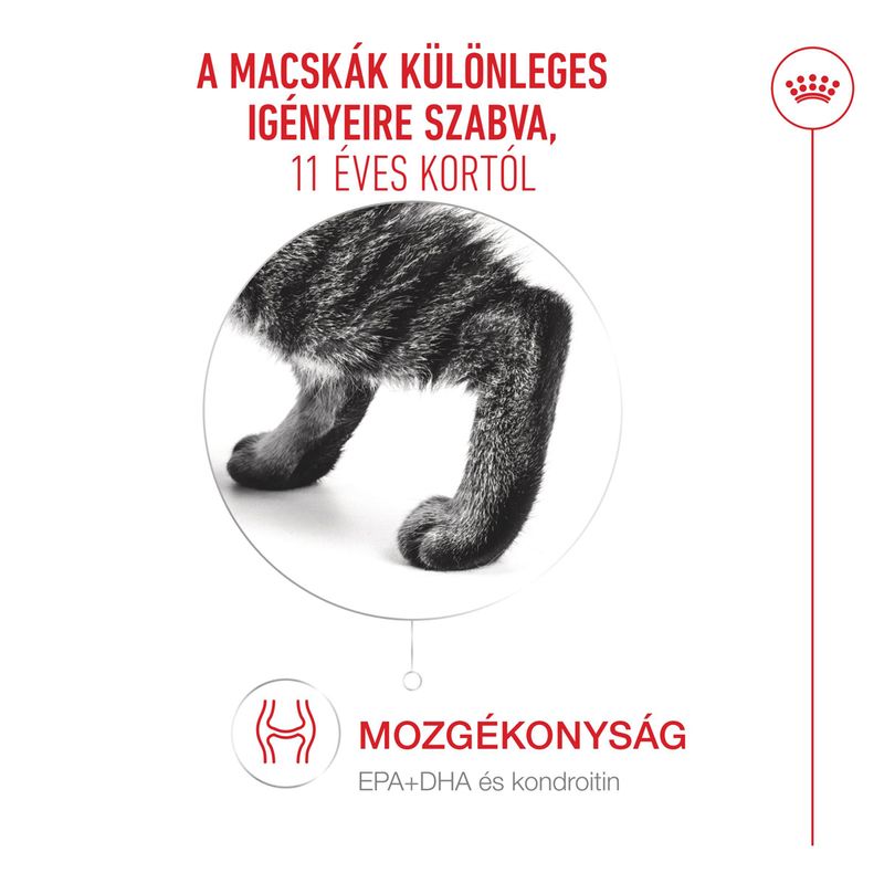 Royal Canin Ageing 11+ aszpikban