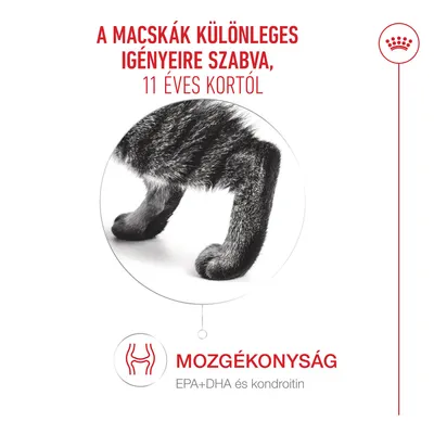 Royal Canin Ageing 11+ aszpikban