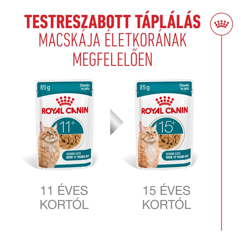 Royal Canin Ageing 11+ aszpikban