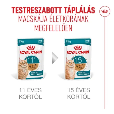 Royal Canin Ageing 11+ aszpikban