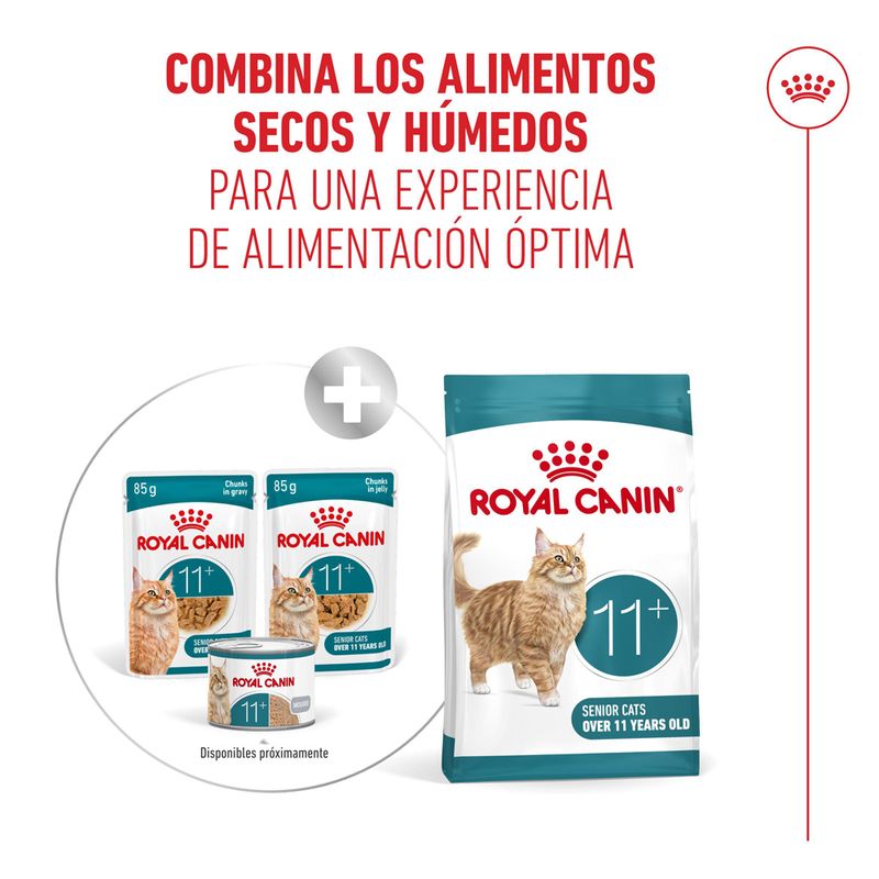 Royal Canin Ageing 11+ en salsa