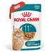 Royal Canin Ageing 11+ hyytelössä
