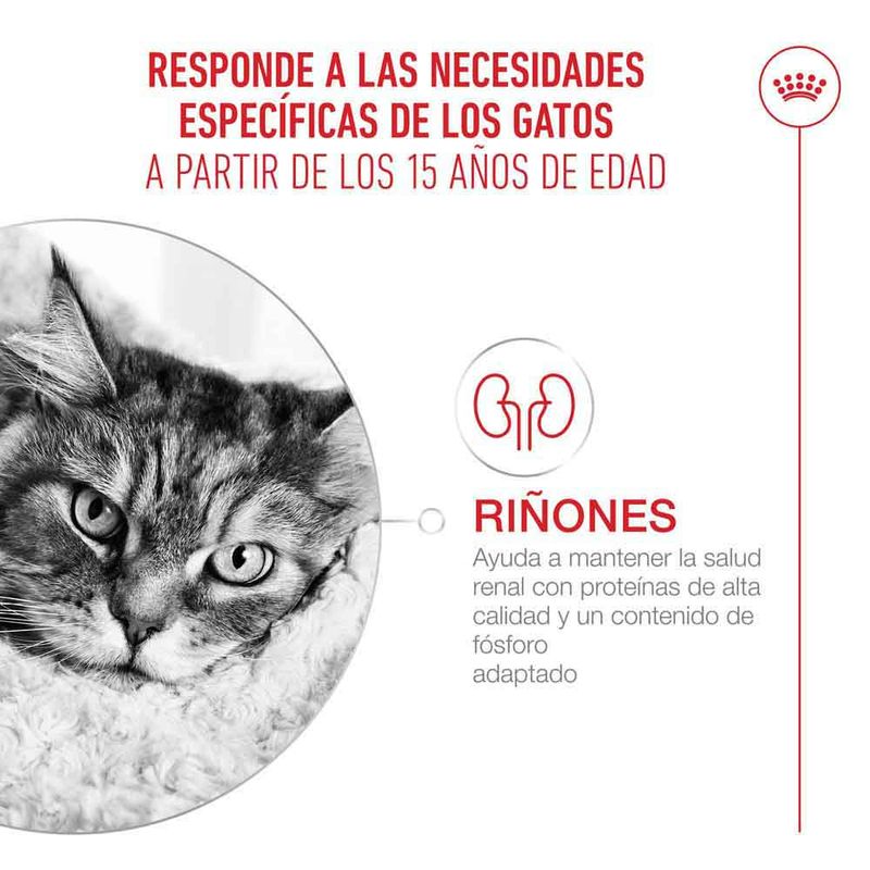 Royal Canin Ageing 15+ en salsa