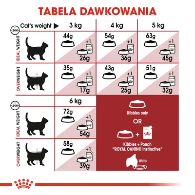 Tabela dawkowania karmy dla kotów Royal Canin: ilości suchej i mokrej karmy w gramach dla kotów o wadze 3–6 kg, z podziałem na wagę idealną i nadwagę.