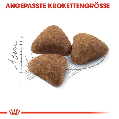 Trois croquettes triangulaires, indication de taille avec règle dessinée montrant 1 cm. Texte en haut : 'ANGEPASSTE KROKETTENGRÖSSE' (allemand).