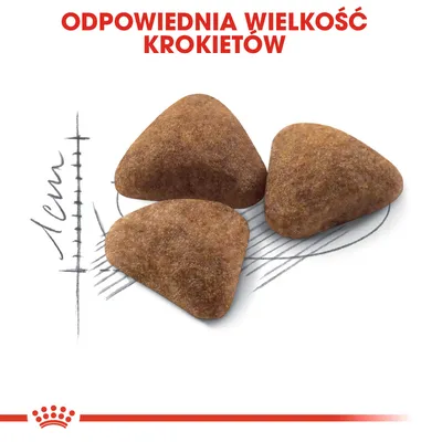 Trzy trójkątne krokiety na tle miarki z oznaczeniem 1 cm, tekst: Odpowiednia wielkość krokietów.