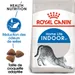 Royal Canin Indoor 27 pour chat