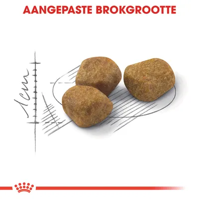 AANGEPASTE BROKGROOTTE, drie brokken met maatindicatie van circa 1 cm zichtbaar naast de brokken.