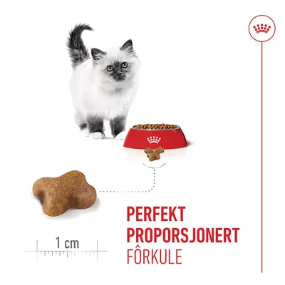 Royal Canin Kitten Royal Canin Kitten