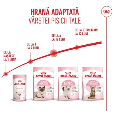 Produse de hrană pentru pisici Royal Canin pentru diferite etape de vârstă: de la naștere până la 1 lună, 1-4 luni, 4-12 luni și după sterilizare, de la 12 luni. Prezentare generală cu imagini ale produselor.