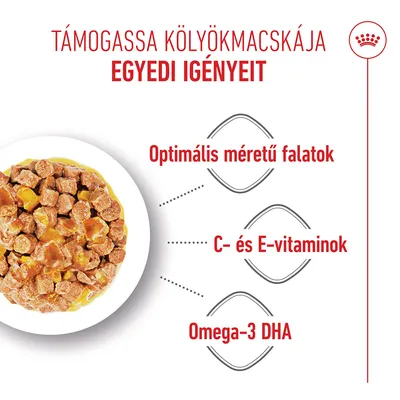 Royal Canin Kitten aszpikban