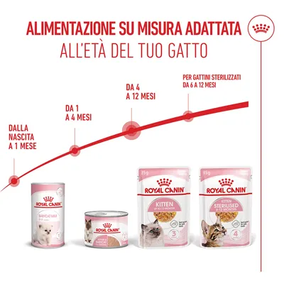 Royal Canin Kitten umido in Gelatina per gatti