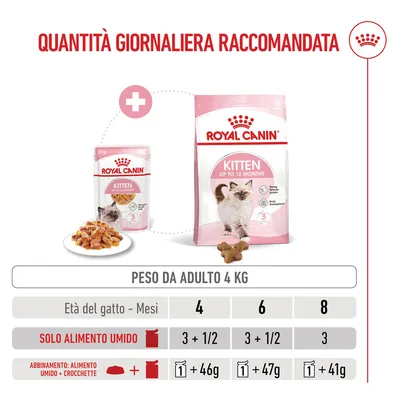 Royal Canin Kitten umido in Gelatina per gatti
