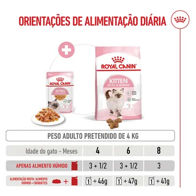 Royal Canin Kitten em gelatina