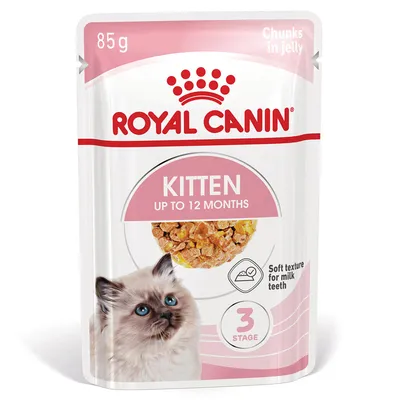 Royal Canin Kitten em gelatina