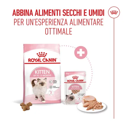 Royal Canin Kitten umido in Mousse per gatti