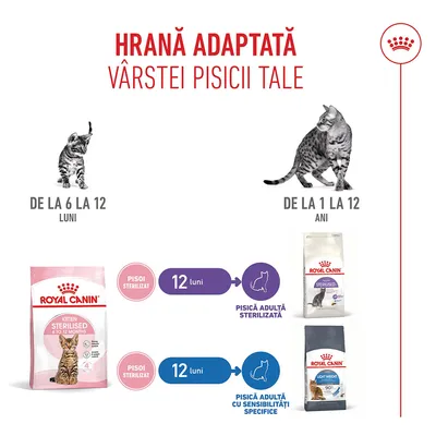 Recomandare de hrănire pentru pisici: De la 6 la 12 luni Royal Canin Kitten Sterilised, de la 12 luni Royal Canin Sterilised sau Light Weight Care, în funcție de necesități. Recomandare de hrănire pentru pisici: De la 6 la 12 luni Royal Canin Kitten Sterilised, de la 12 luni Royal Canin Sterilised sau Light Weight Care, în funcție de necesități.