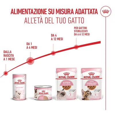 Royal Canin Mother & Babycat umido in Mousse ultra soffice per gatti