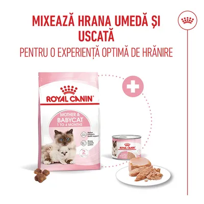 Royal Canin Mother & Babycat 1 până la 4 luni hrană uscată și hrană umedă alăturate, recomandare pentru combinare pentru o experiență optimă de hrănire. Royal Canin Mother & Babycat 1 până la 4 luni hrană uscată și hrană umedă alăturate, recomandare pentru combinare pentru o experiență optimă de hrănire.