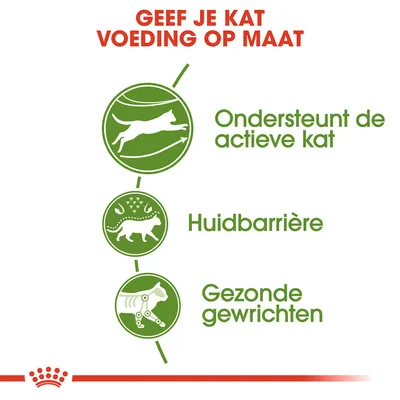 Geef je kat voeding op maat: ondersteunt de actieve kat, huidbarrière, gezonde gewrichten. Drie groene pictogrammen met bijbehorende tekst.