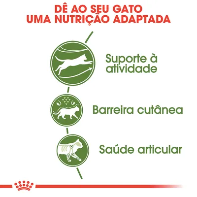 Dê ao seu gato uma nutrição adaptada. Suporte à atividade, barreira cutânea, saúde articular. Dê ao seu gato uma nutrição adaptada. Suporte à atividade, barreira cutânea, saúde articular.