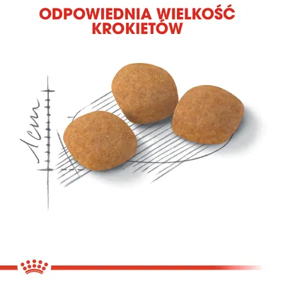 Trzy krokiety na tle miarki z oznaczeniem 1 cm, tekst: Odpowiednia wielkość krokietów.