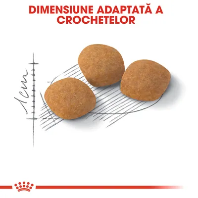 Dimensiune adaptată a crochetelor, imagine cu trei crochete și o scală de 1 cm pentru comparație vizuală a mărimii.