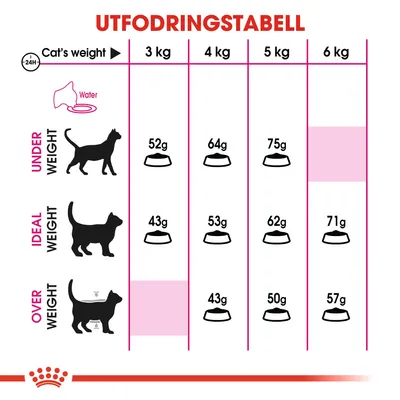 Utfodringstabell för katt: undervikt 3–5 kg 52–75 g, idealvikt 3–6 kg 43–71 g, övervikt 4–6 kg 43–57 g. Vatten rekommenderas. Text på engelska.