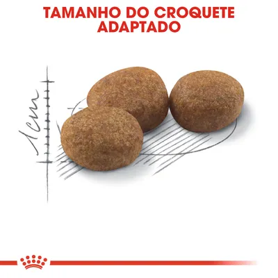 Três croquetes de ração com texto 'TAMANHO DO CROQUETE ADAPTADO' e escala desenhada a indicar cerca de 1 cm.