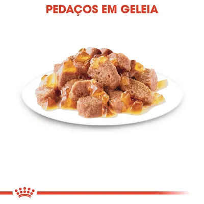 Pedaços em geleia servidos num prato branco, conforme indicado pelo texto visível na imagem.