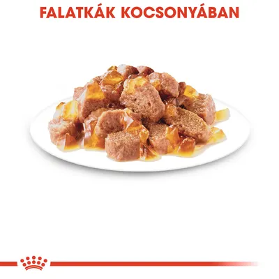 Falatkák kocsonyában fehér tányéron, felül piros szöveg: FALATKÁK KOCSONYÁBAN. Royal Canin márkajelzés alul.