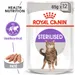 Royal Canin Sterilised Mousse