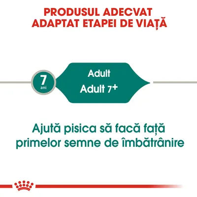 Produsul adecvat adaptat etapei de viață. 7 ani. Adult, Adult 7+. Ajută pisica să facă față primelor semne de îmbătrânire.
