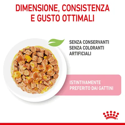 Dimensione, consistenza e gusto ottimali. Senza conservanti, senza coloranti artificiali. Istintivamente preferito dai gattini.