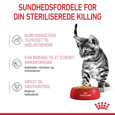 Sundhedsfordele for din steriliserede killing: blød konsistens til mælketænder, kan bidrage til stærkt immunforsvar med vitaminer og antioxidanter, vækst og vægtkontrol med moderat fedtindhold.