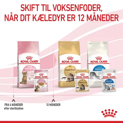 Skift til voksenfoder, når dit kæledyr er 12 måneder. Royal Canin Kitten Sterilised fra 6 måneder, Royal Canin Maine Coon og Indoor Adult fra 12 måneder. Produkter vist med emballage.