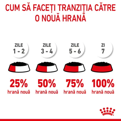 Instrucțiuni tranziție hrană: zile 1–2, 25% hrană nouă; zile 3–4, 50%; zile 5–6, 75%; zi 7, 100%. Text: Cum să faceți tranziția către o nouă hrană. Logo Royal Canin vizibil.