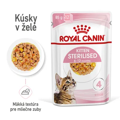 Royal Canin FHN Kitten Sterilised v želé