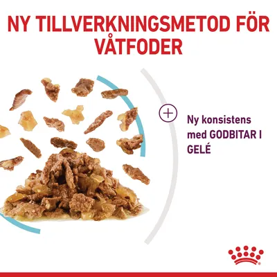 Ny tillverkningsmetod för våtfoder. Ny konsistens med godbitar i gelé. Bild på bitar av våtfoder och en hög med foder i gelé. Royal Canin-varumärke synligt.