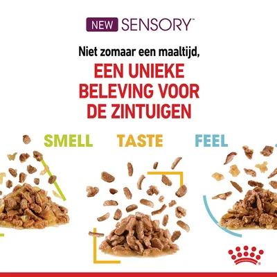 NEW SENSORY. Niet zomaar een maaltijd, een unieke beleving voor de zintuigen. SMELL, TASTE, FEEL. Drie porties natvoer met verschillende texturen en kleuren.