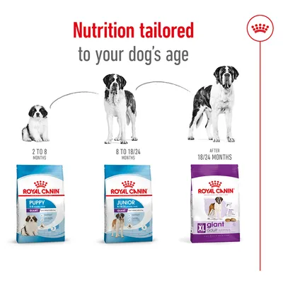 Royal Canin Puppy Giant 2–8 μηνών, Junior Giant 8–18/24 μηνών, XL Giant Adult μετά τους 18/24 μήνες. Διατροφή ανά ηλικία σκύλου. Κείμενο στα αγγλικά.